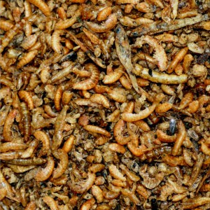 Birdfood Pâtée 50% d'insectes ORLUX