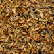 Birdfood Insect 50%