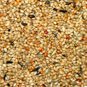 Birdfood petites graines