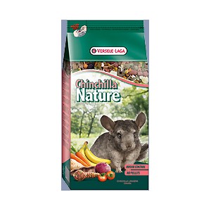 Chinchilla Nature