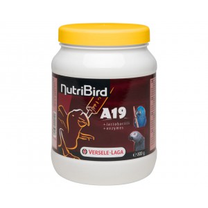 NutriBird A19 - POur Aras, Eclectus et Gris du Gabon