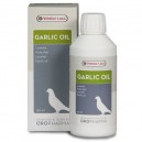 Garlic-Oil / Huile d'ail