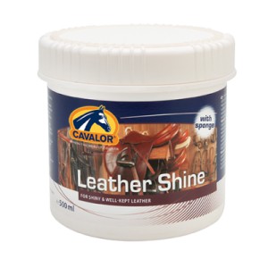 Leather Shine 